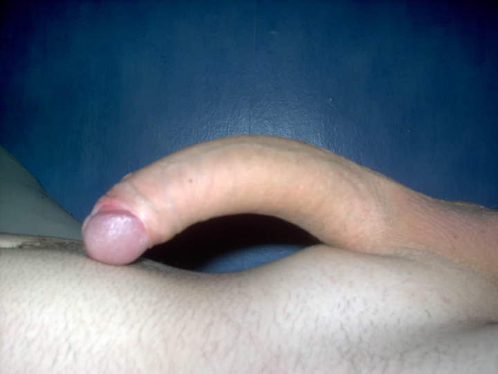 Photo of a cavalier from Lonewolf123