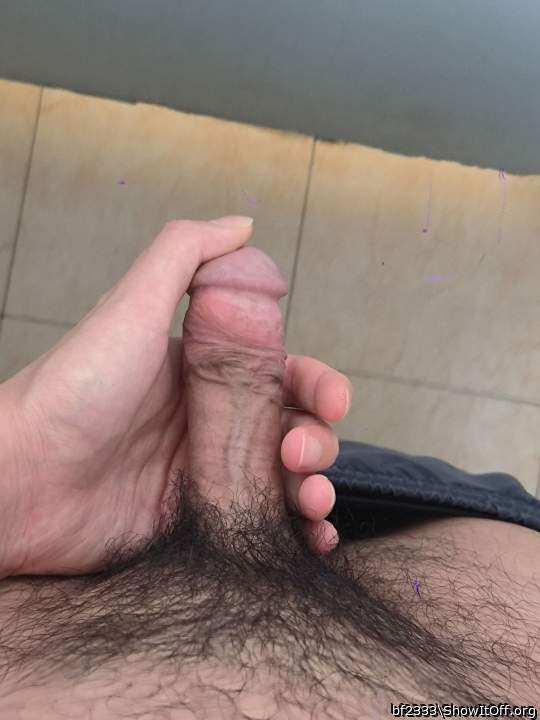 Photo of a weasel from bf2333