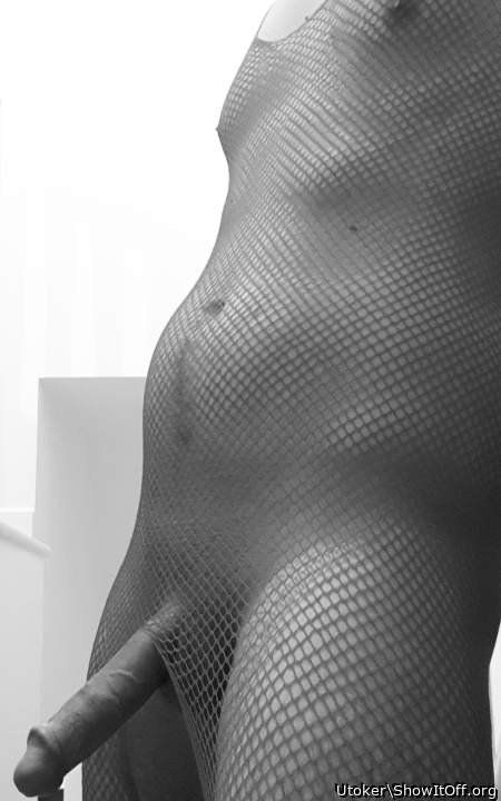 Photo of a weasel from Utoker