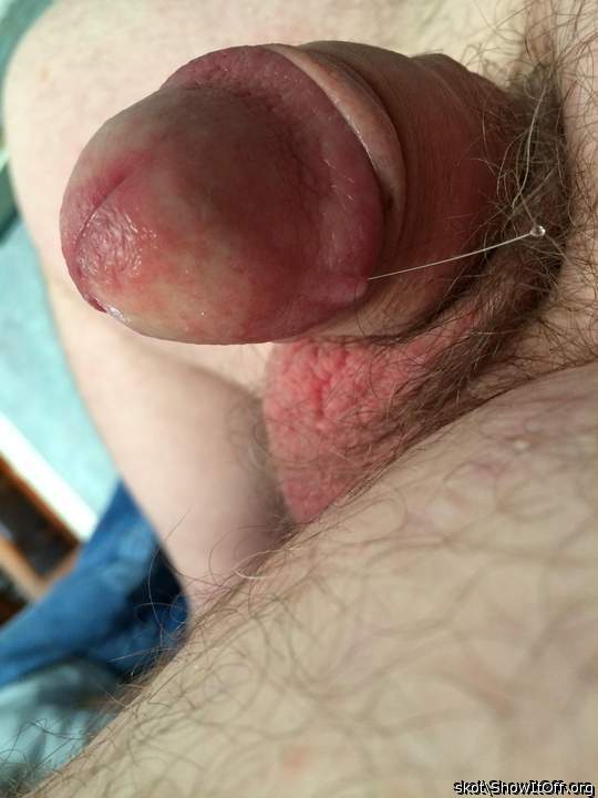 Still leaking precum