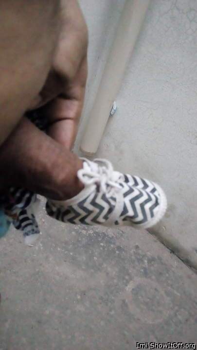 Photo of a bat from imi