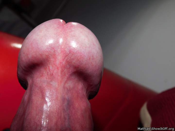 mushroom cockhead