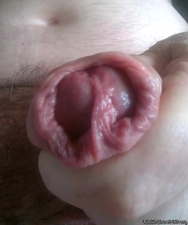 Photo of a short leg from Ade59