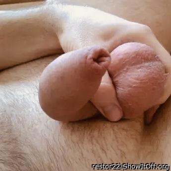 A Warm and Natural Cock