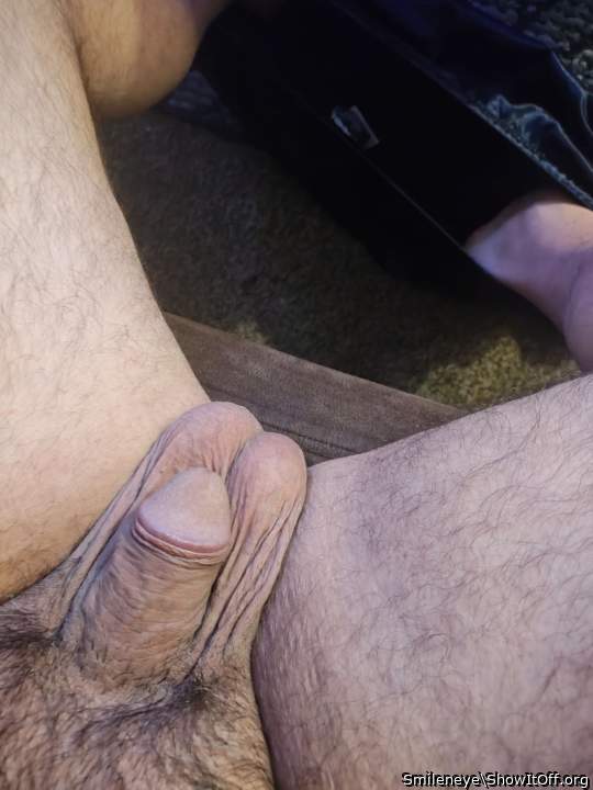 Photo of a python from Smileneye