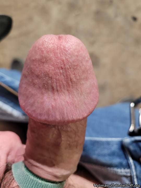 Photo of a cavalier from Mylimastuff