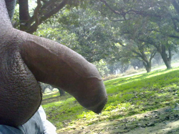 Photo of a snake from sexbaba2111