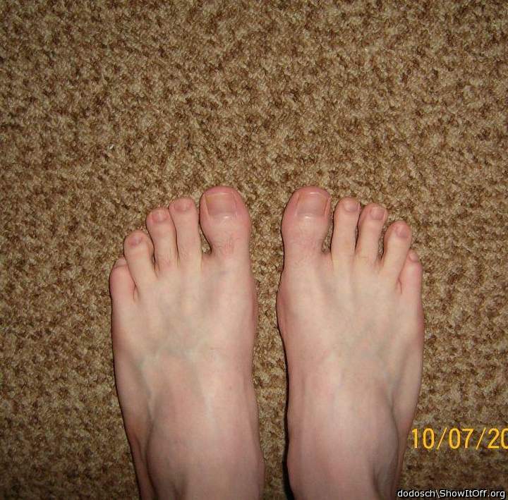 Adult image from dodosch