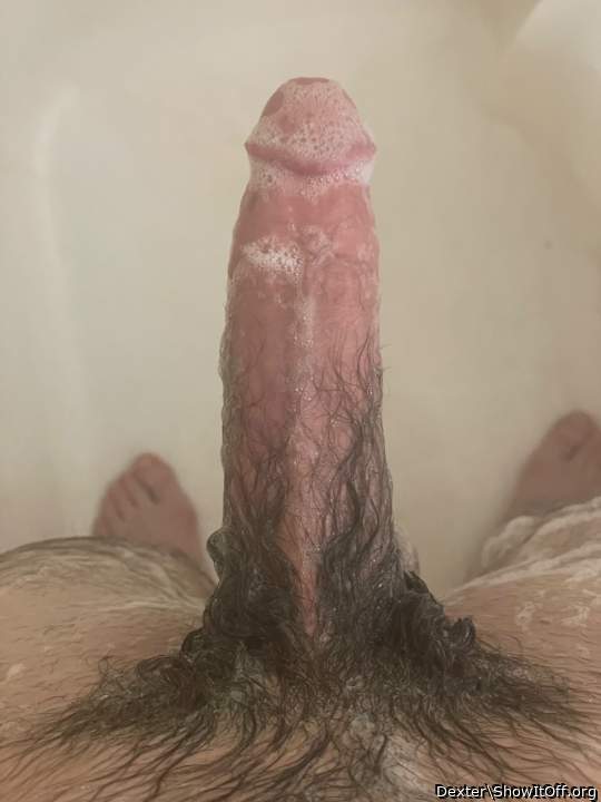 Wet Hairy Dick Long Pubic Hair