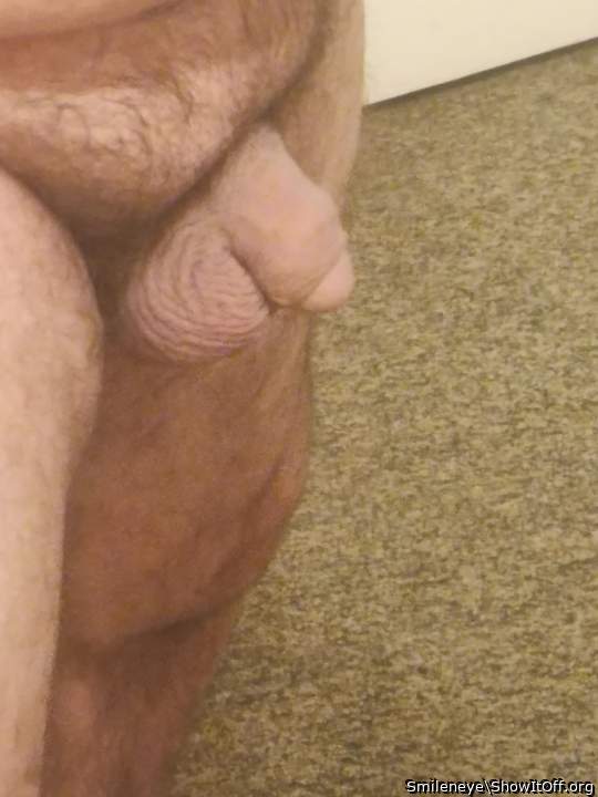 Love the head peeking out of the foreskin.