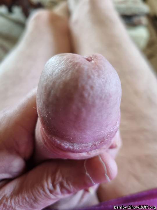 Photo of a member from bamby