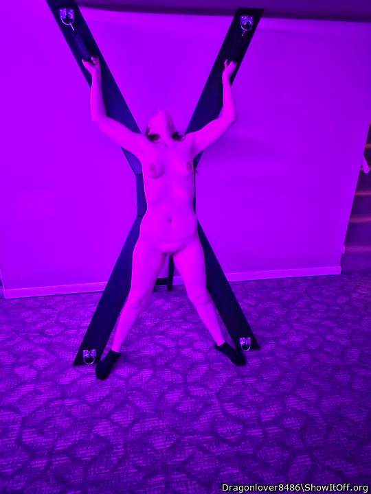 Photo of a cock from Dragonlover8486