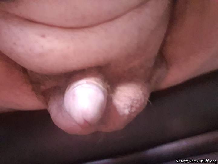 Photo of a wiener from Grant