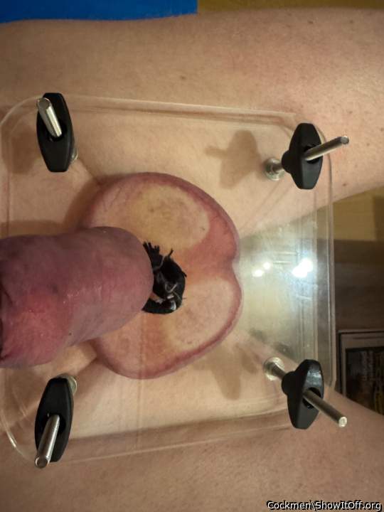 Photo of a sausage from Cockmen