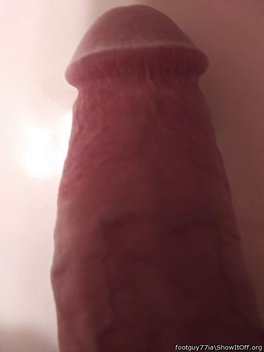 Photo of a python from footguy77ia