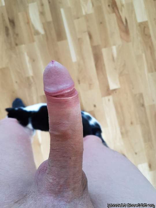  that's a great view you have  