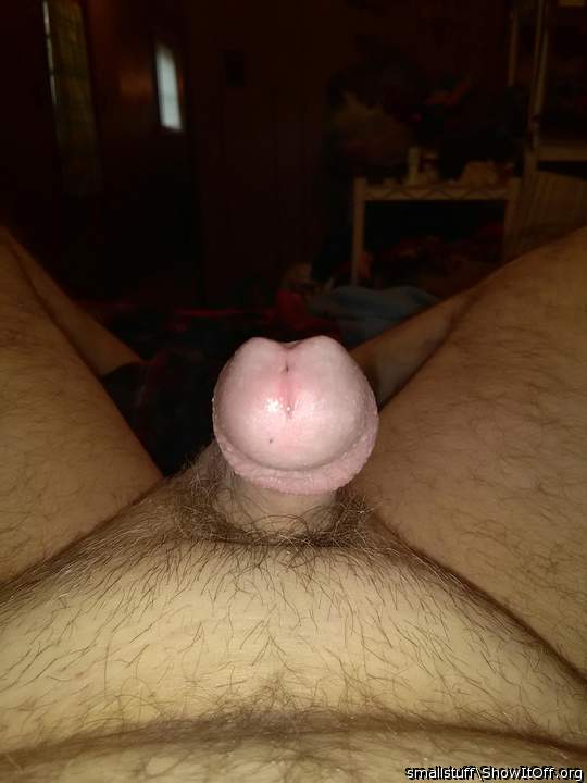 Photo of a cock from smallstuff