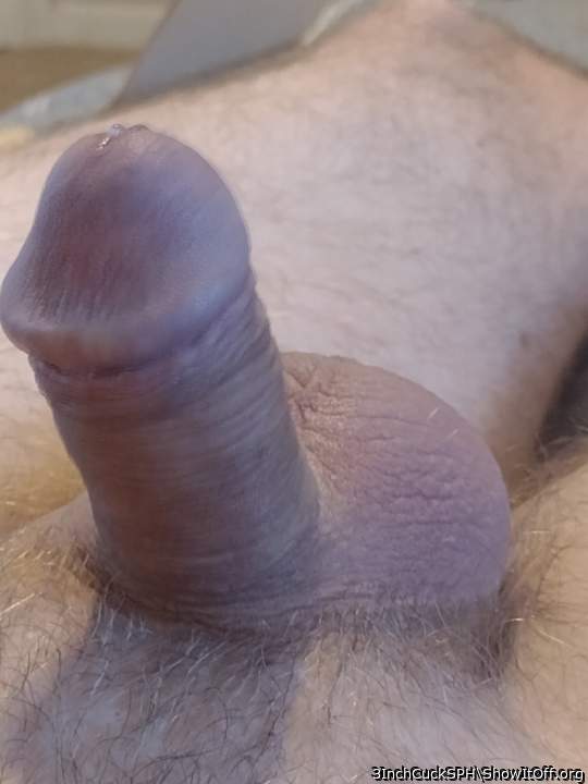 Small penis humiliation