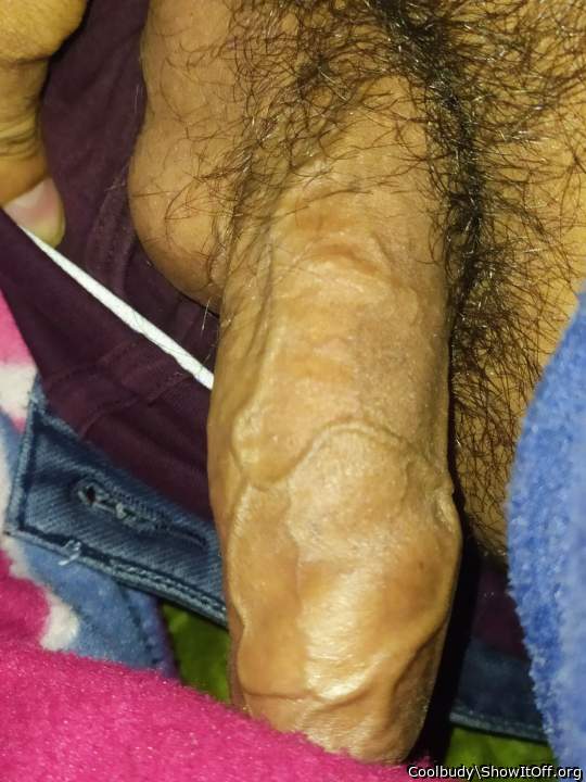 Photo of a cock from Coolbudy