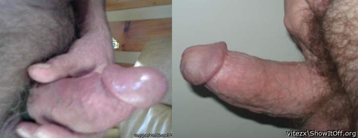 Two cocks