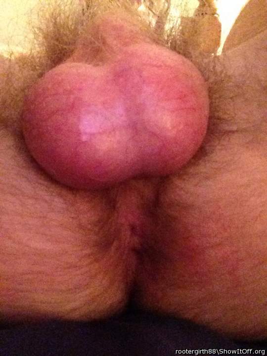 Looks delicious...   
