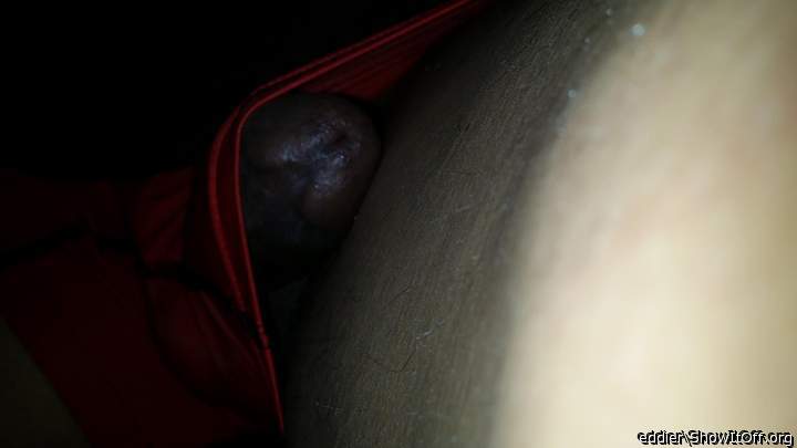 Photo of a python from eddier