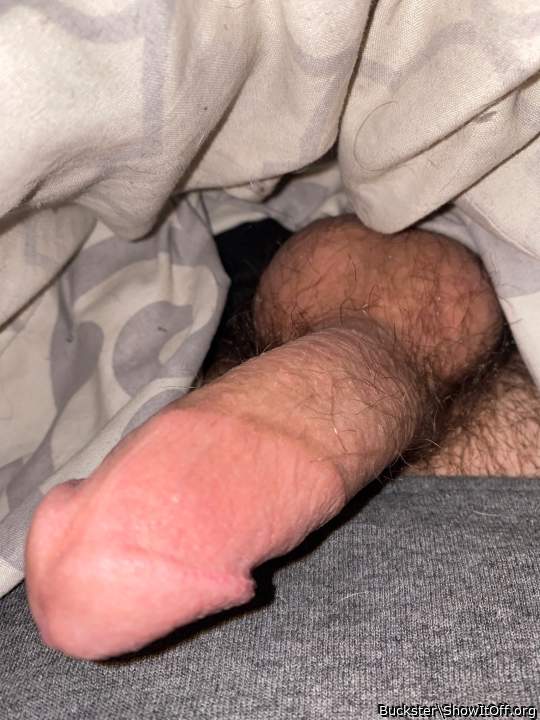 Photo of a short leg from Buckster