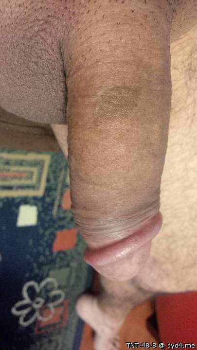 Photo of a phallus from TNT-48-8