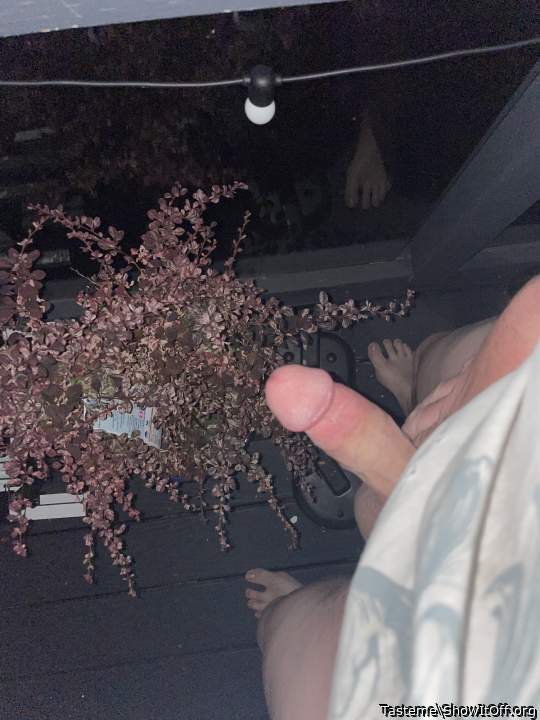 Hanging out on the deck