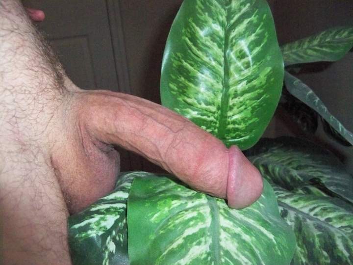 fucking delicious looking!