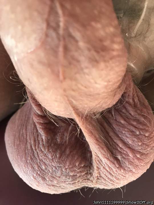 Testicles Photo from John1111199999
