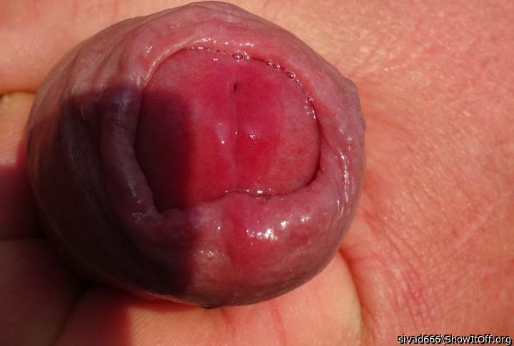 Photo of a boner from sivad666