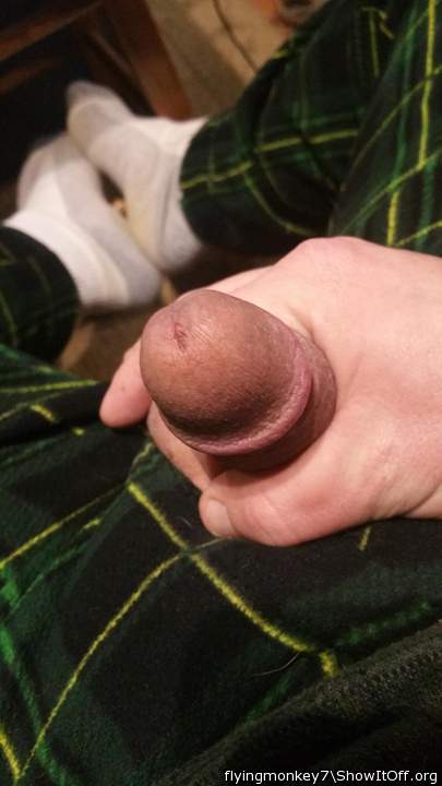 Photo of a third leg from flyingmonkey7
