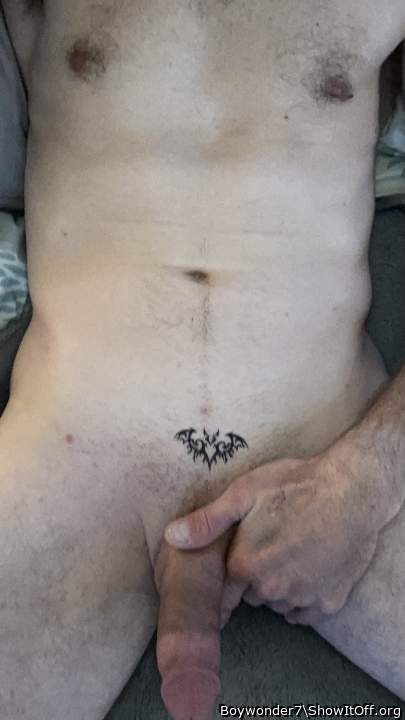 Photo of a bat from Boywonder7
