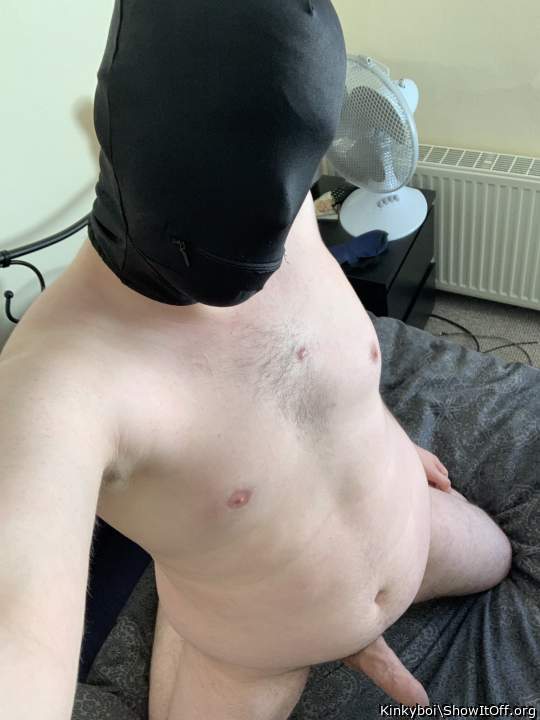 Photo of a cavalier from Kinkyboi