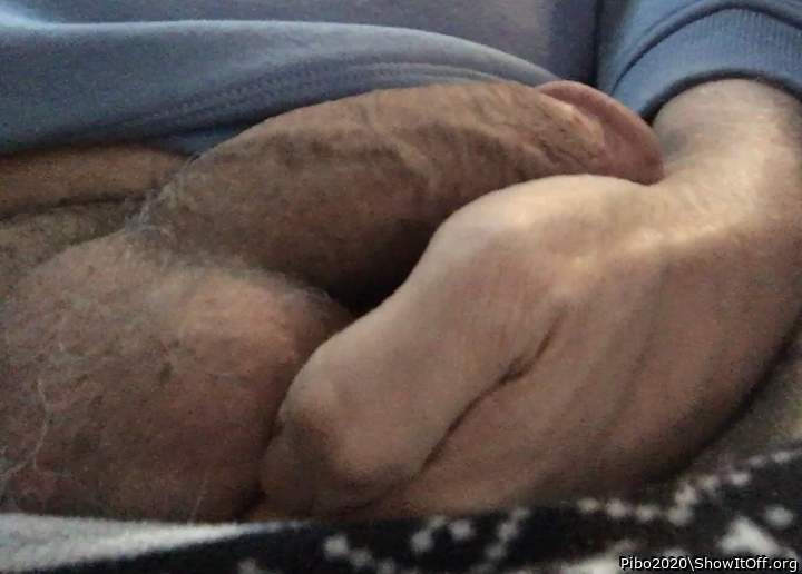 Photo of a python from Pibo2020