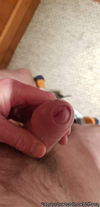 Photo of a weasel from Getyourdickout