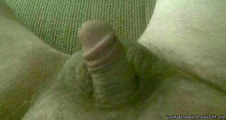 Photo of a wiener from ToyPenis