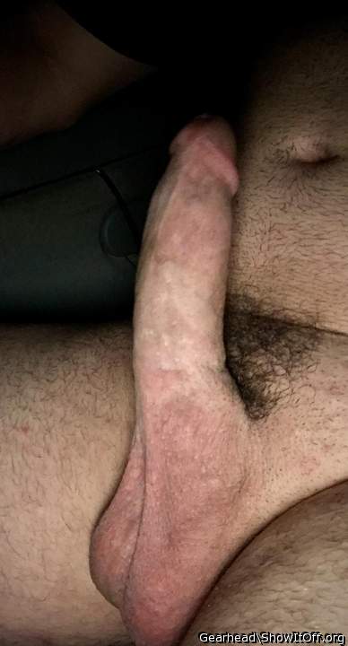 Throbbing morning wood