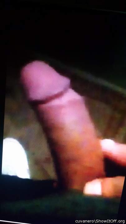 Photo of a prick from cuvanero