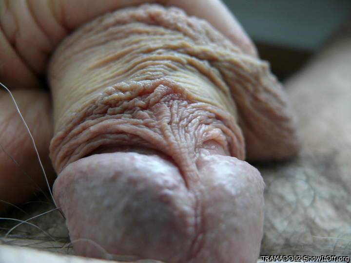 wonderful dick  