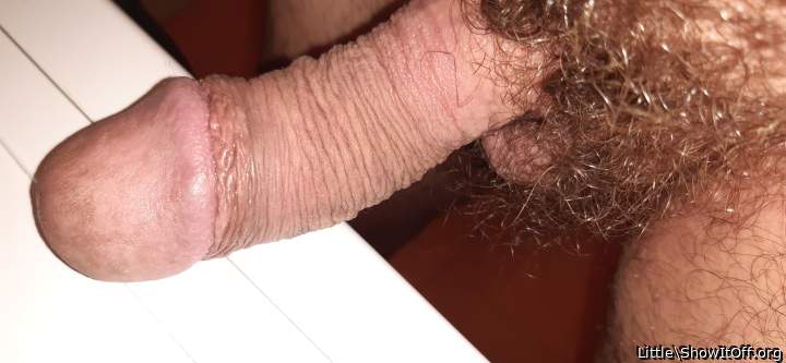 Photo of a middle leg from Little