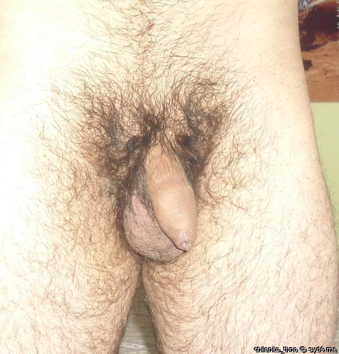 Photo of a third leg from chilenito_thno