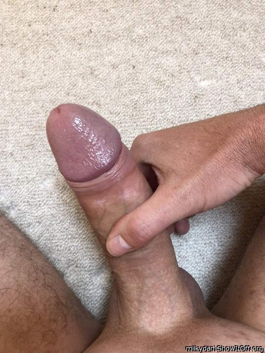 Love that big shiny head
