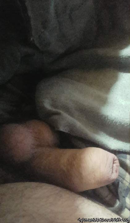 Nice uncut cock 