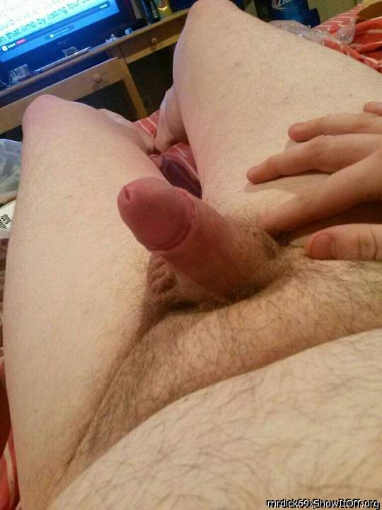 Photo of a python from MRDICK69
