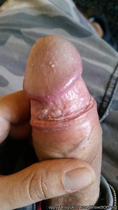 Photo of a drain pipe from oppyeahyouknowme