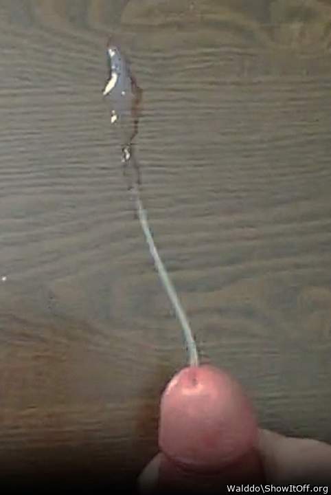 Photo of a ram rod from Walddo