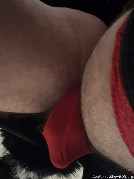 Photo of a ram rod from CenFoxxo