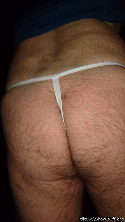 Photo of a middle leg from tiit666